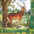 Poľovačka - upozornenie