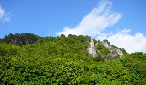 Pohľady na obec