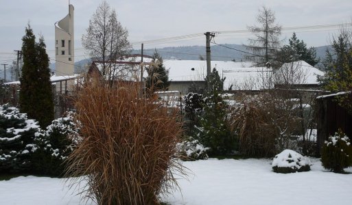 Zima 2008
