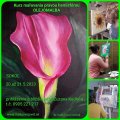 Olejomaľba - kurz: 20. - 21.05.2023