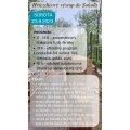 Hviezdicový výstup do Sokoľa: 23.09.2023