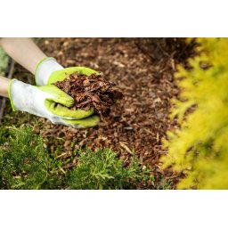 Štiepkovanie konárov a zeleného odpadu na Balku: 14.03.2026