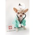 Veterinárna ambulancia Kysak - oznam