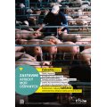 Africký mor ošípaných - zvyšovanie povedomia o nákaze